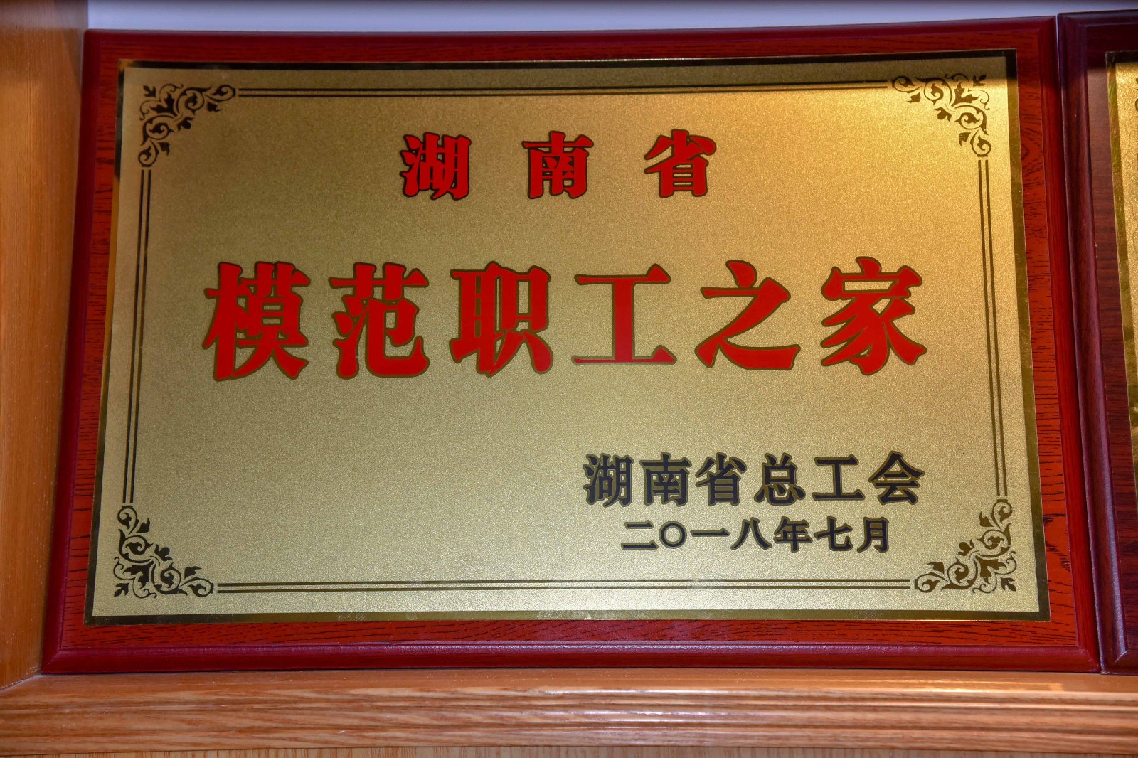 DSC_9312 拷贝.jpg
