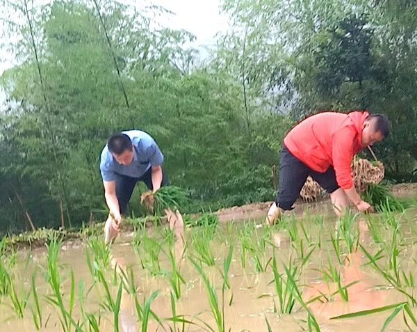微信图片_20190802162239.jpg