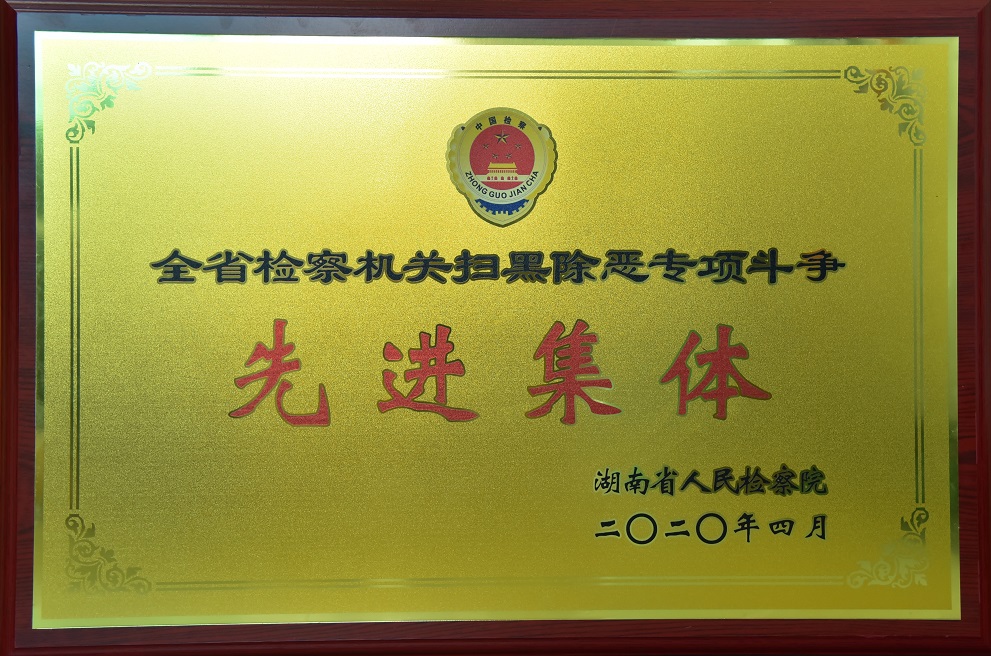 全省检察机关扫黑除恶专项斗争先进集体.JPG