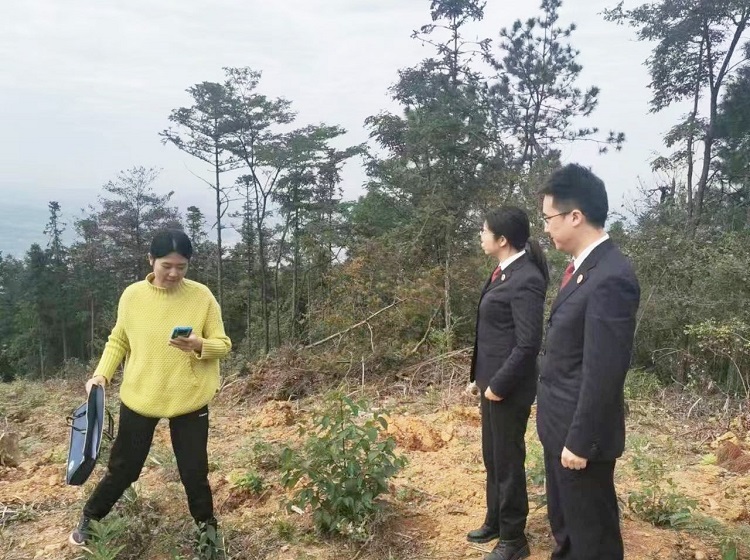 微信图片_20231127085242_看图王(1).jpg