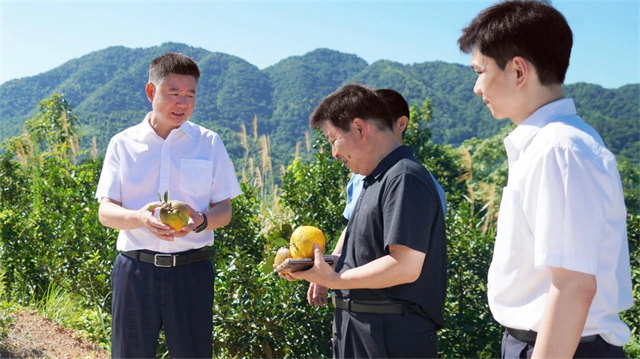 微信图片_20250704160906.jpg